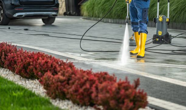 Best Gutter Cleaning  in Pioneer, OH